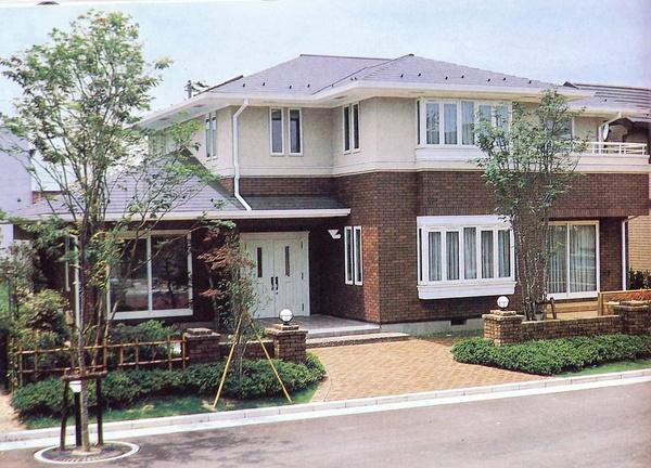 农村自建房别墅设计效果图大全与房屋建筑工程指南