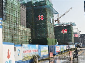 2023年11月住宅建设工程进度报告